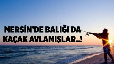 Kaçak Balık Avcıları Jandarmaya Yakalandı