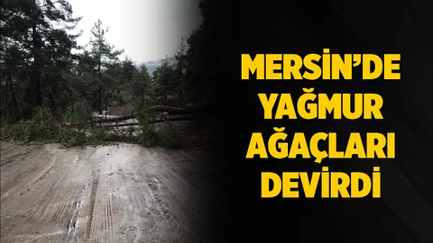 Mersin’de Şiddetli Yağıştan Devrilen Ağaç Yol Kapattı