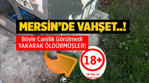 Mersin'de Katliam! Bir Kedi Yakılarak Öldürüldü