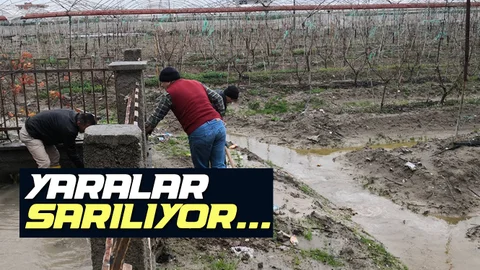 Şiddetli Yağışın Arından Akdeniz'de Yaralar Sarılıyor