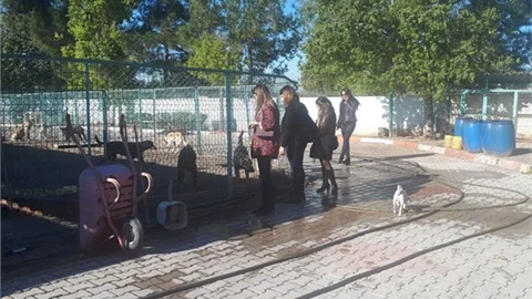 Av. Orçun Özekenci : “Barınak Koşulları Hukuka ve Uluslararası Standartlara Uygun Olmalı”