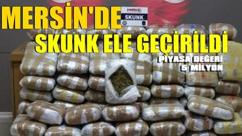 Durdurulan TIR'da 5 Milyon Değerinde "Skunk" Çıktı