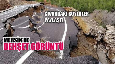 Mersin'de Dehşet Veren Görüntü