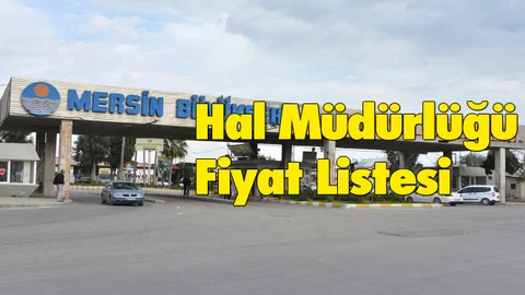 2 Ocak 2019 Çarşamba Mersin Hal Fiyatları