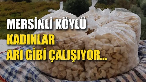 Burhan Köylü Kadınlar Arı Gibi Çalışıyor