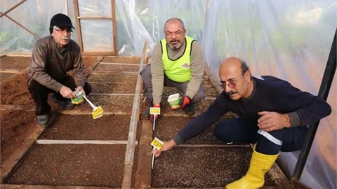 Mezitli'de Gönüllü Serasında Tohum Ekimi Zamanı