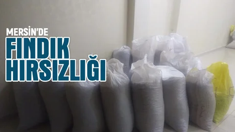 Mersin'de 1 Ton Fındık Çaldılar
