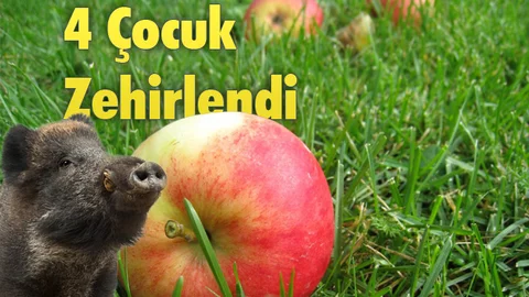 Mersin'de 4 Çocuk Zehirlendi