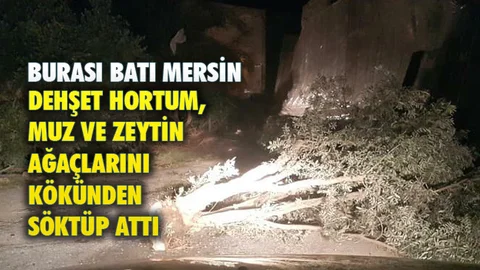 Mersin Bozyazı'da Gece Saatlerinde Hortum Felaketi