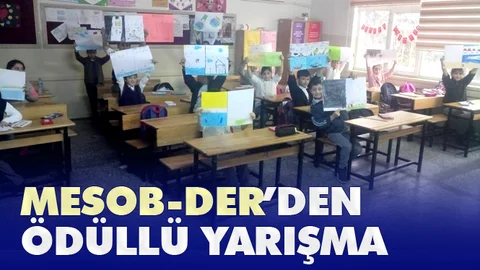 Mersin Sportif Amatör Balıkçılık, Denizcilik ve Doğal Hayatı Koruma Derneği’nden Resim Yarışması