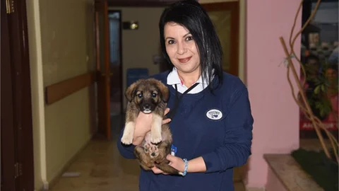 Anamur Belediyesinin Maskotu