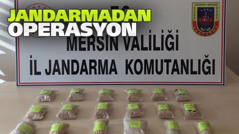 Jandarmadan Uyuşturucu Operasyonu