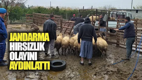 Hırsızlar Yakalandı, Çalınan Koyunlar Sahibine Teslim Edildi