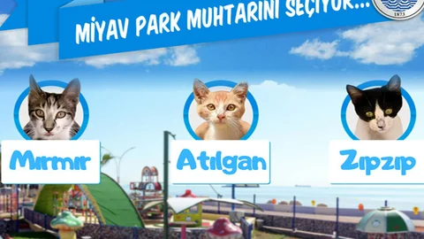 İşte Seçim Sonuçları