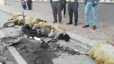 Mersin Anamur'da Otomobil Sürüye Çarptı 15 Koyun Telef Oldu