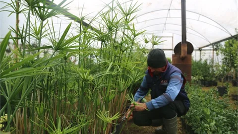 Doğa Dostu Erdemli, Bahara Hazır
