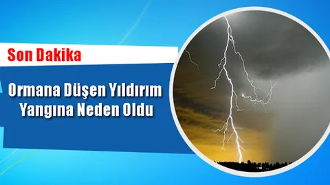 Ormana Düşen Yıldırım Yangına Neden Oldu