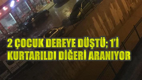 2 Çocuk Çavuşlu Deresine Düştü