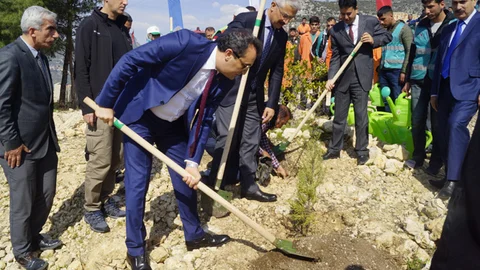 "Adalet Ormanı"na Yeni Fidan Dikimi ve Fidanların Bakımı Yapıldı