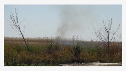 Mersin Silifke Sınırlarında Bulunan Göksu Deltası'nda Çıkan Yangın Kendiliğinden Söndü