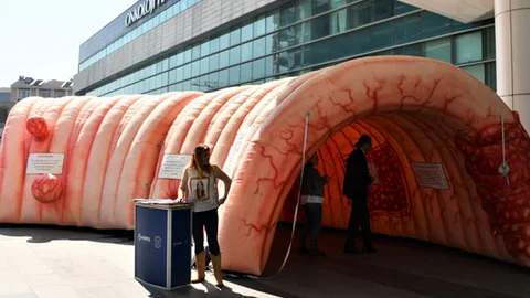 Dev Bağırsak Maketi İle  Kolon Kanserine Dikkat Çekildi