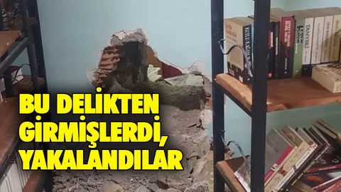 Bu Delikten Girmişlerdi, Yakalandılar