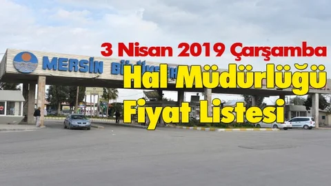 Mersin Merkez Hal ve İlçe Hallerindeki Ürün Fiyatları