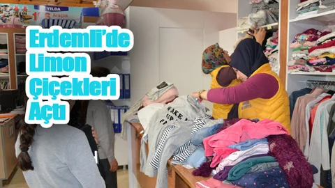 Erdemli’de Limon Çiçekleri Açtı