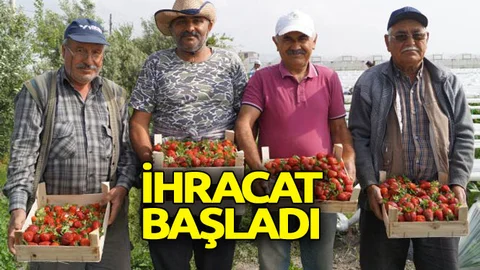 Mersin'de İhracat Başladı