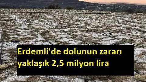 Zarar Hesaplandı 2 Buçuk Milyon Lira