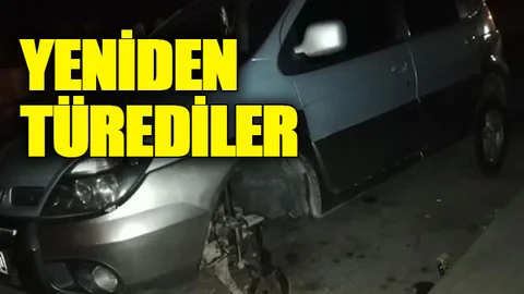 Yeniden Türediler..