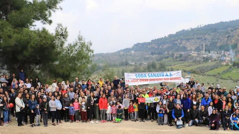 41 Bin 500 Ağaç Dikmişler