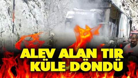 Alev Alan Yüklü TIR, Küle Döndü