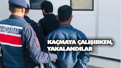 Çiftlikten Hırsızlık Yaparken Yakalanan Şahıslar Tutuklandı