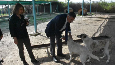 Başkan Dr. Bozdoğan, “Bu Şehrin Hayvanları Sahipsiz Kalmayacak”