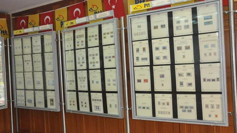 629 Adet Pul Sergilenecek