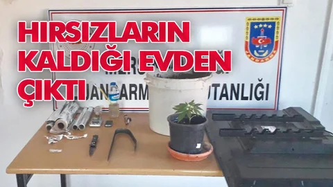 Hırsızlık Şüphelilerinin Evinde Saksıda Dikili Hint Keneviri Yakalandı