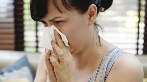 Yaz Gribinin Tam Mevsimi,  Her Yıl Bu Zamanlarda Halsizlik, Gözlerde Yanma, Burun Akıntısı İle Karşılaşıyorsanız Dikkat!