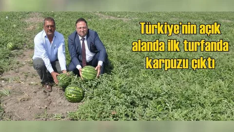 Mersin Tarsus Kulak Köyünde Açık Alanda Mayıs Ayında İlk Karpuzu Yetişti