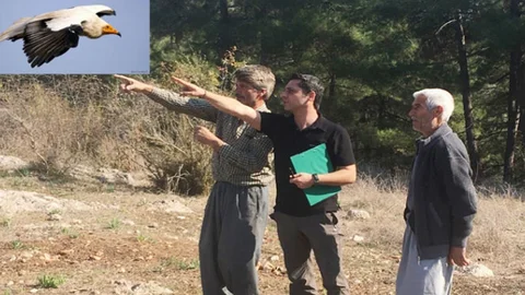 Yok Olma Tehlikesiyle Karşı Karşıya