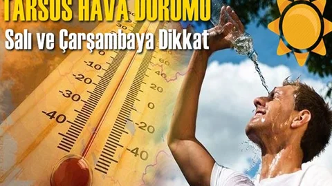 Tarsus Hava Durumu, Gün Gün Hava Sıcaklıkları