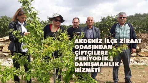 Mersin Akdeniz Ziraat Odası Tarım Danışmanlarından Periyodik Danışmanlık Hizmeti