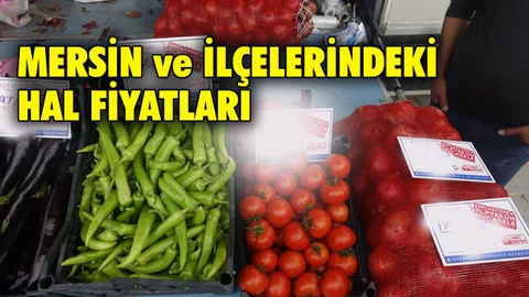 Mersin Hal Müdürlüğü Fiyat Listesi (18 Mayıs 2019 Cumartesi)