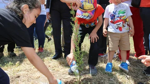 Mersin Toroslar’da, 1919 Adet Fidan Toprakla Buluştu