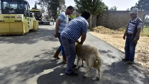 Muhtar Topşar‘dan Başkana Kurbanlı Teşekkür