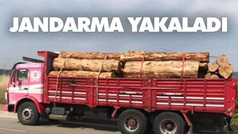 Orman’dan 61 Adet Kaçak Kesim Ağaç Yakalandı