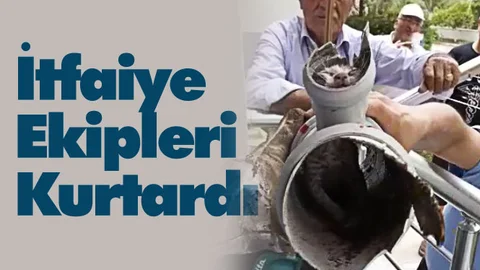 Boruya Sıkışan Kedi Yavrusunu İtfaiye Ekipleri Kurtardı