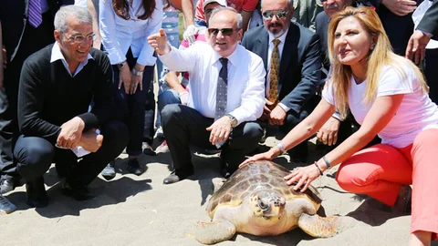 Mersin Mezitli 100. Yıl Plajında Doğa Cinayeti İşleniyor
