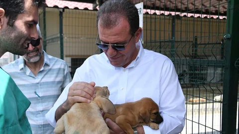 Başkan Seçer’den Hayvan Barınağına Ziyaret