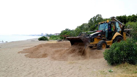 Bozdoğan’dan Mezitli’deki Doğa Katliamına Tepki